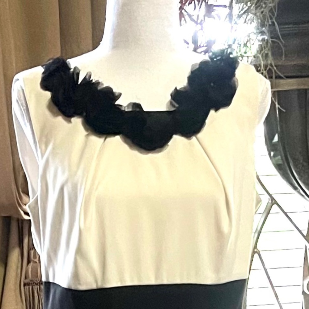 Dress - Picture 3 of 9
